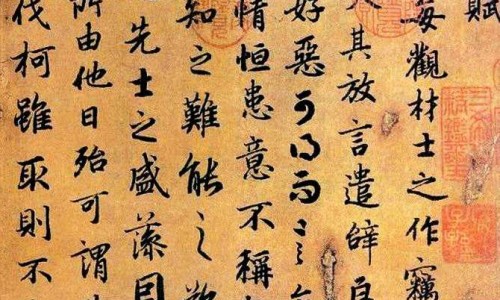 查中草药木香的图片网 - 网站提供中药木香图片大全小常识、中药木香长什么样子图片