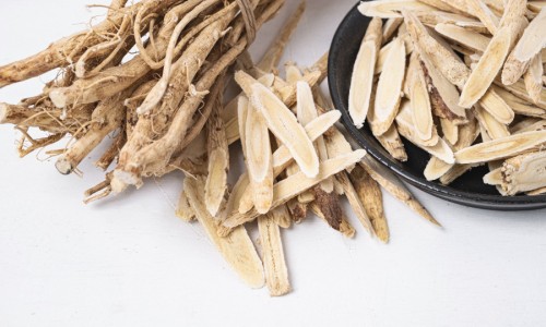 查中草药木香的图片网 - 网站提供中药木香图片大全小常识、中药木香长什么样子图片
