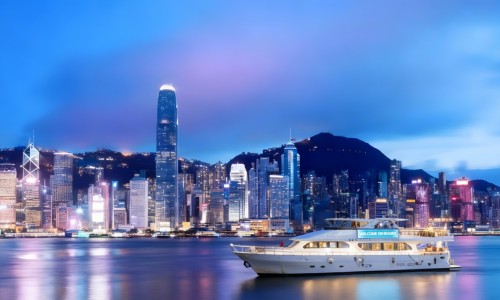 中药木香图片全图高清-查中草药木香的图片网 - 网站提供中药木香图片大全小常识、中药木香长什么样子图片