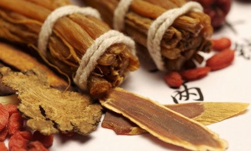中药木香图片大全-查中草药木香的图片网 - 网站提供中药木香图片大全小常识、中药木香长什么样子图片
